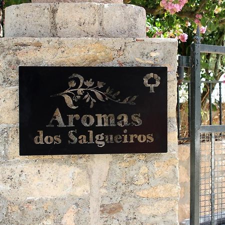 カステロ・デ・ヴィデ Aromas Dos Salgueirosヴィラ エクステリア 写真