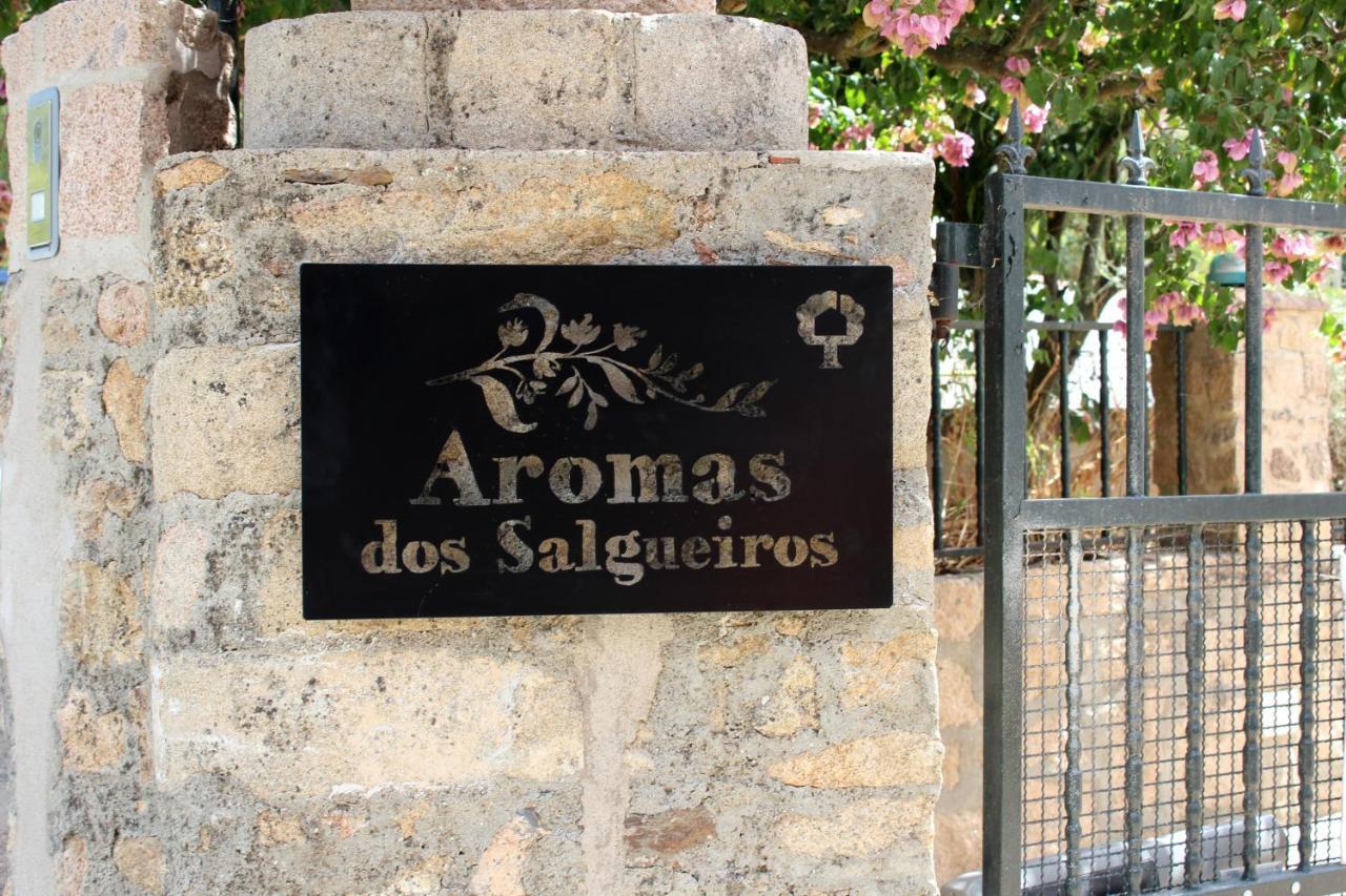 カステロ・デ・ヴィデ Aromas Dos Salgueirosヴィラ エクステリア 写真
