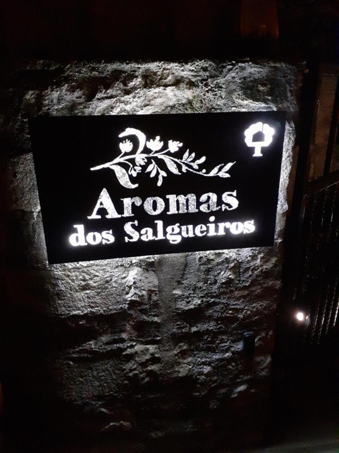 カステロ・デ・ヴィデ Aromas Dos Salgueirosヴィラ エクステリア 写真